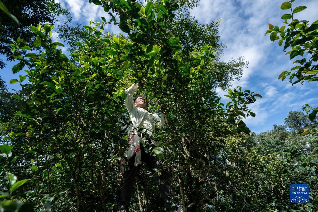 捕鱼游戏电脑版在线赚现金